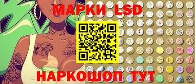стафф Донецк