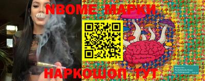 стафф Донецк