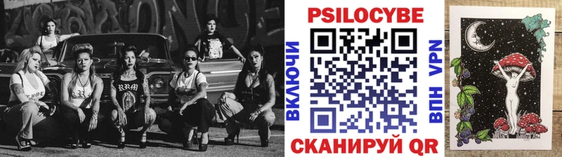 где найти наркотики  Нерюнгри  Галлюциногенные грибы Psilocybe 
