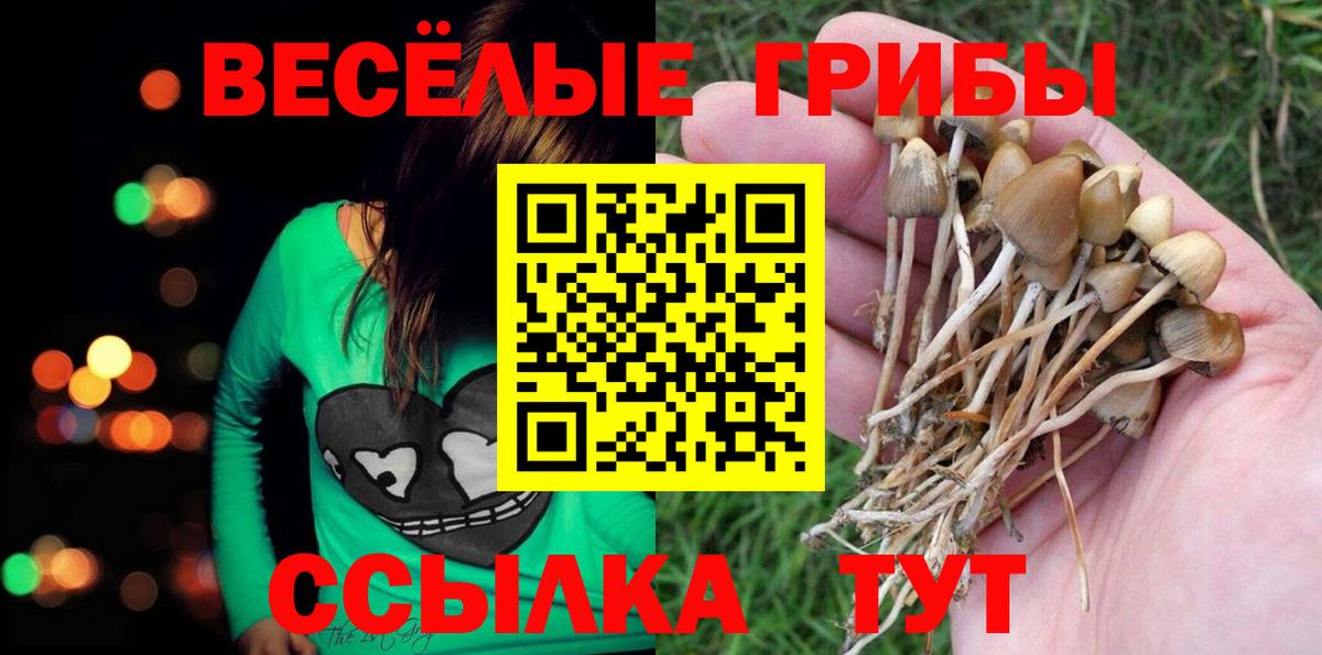 купить наркотик  Псилоцибиновые грибы мицелий  Вход с VPN  Псилоцибиновые грибы Magic Shrooms  Нерюнгри 