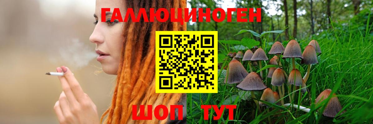 наркота  Нерюнгри  Галлюциногенные грибы прущие грибы 